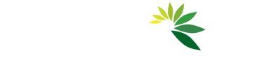 smart watering system logo