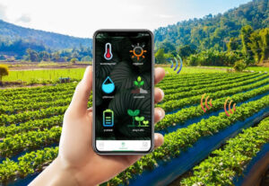 The Histroy Of The Smart Watering System